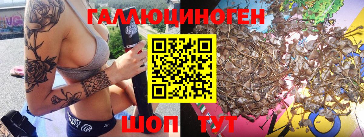 Галлюциногенные грибы MAGIC MUSHROOMS  Вход с VPN  Троицк 