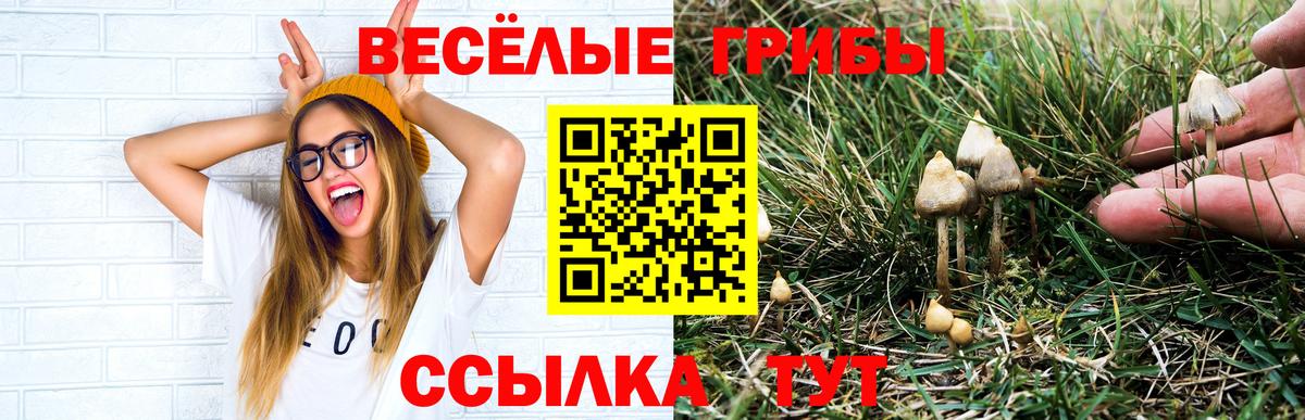 Псилоцибиновые грибы мицелий Троицк